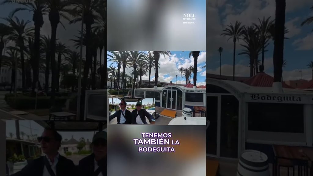 Una parada imprescindible en nuestro Buggy Tour por el Puerto de Sotogrande 🌴